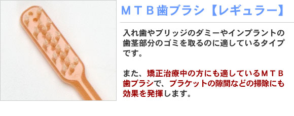 MTB歯ブラシ【レギュラー】