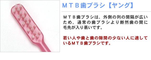 MTB歯ブラシ【ヤング】